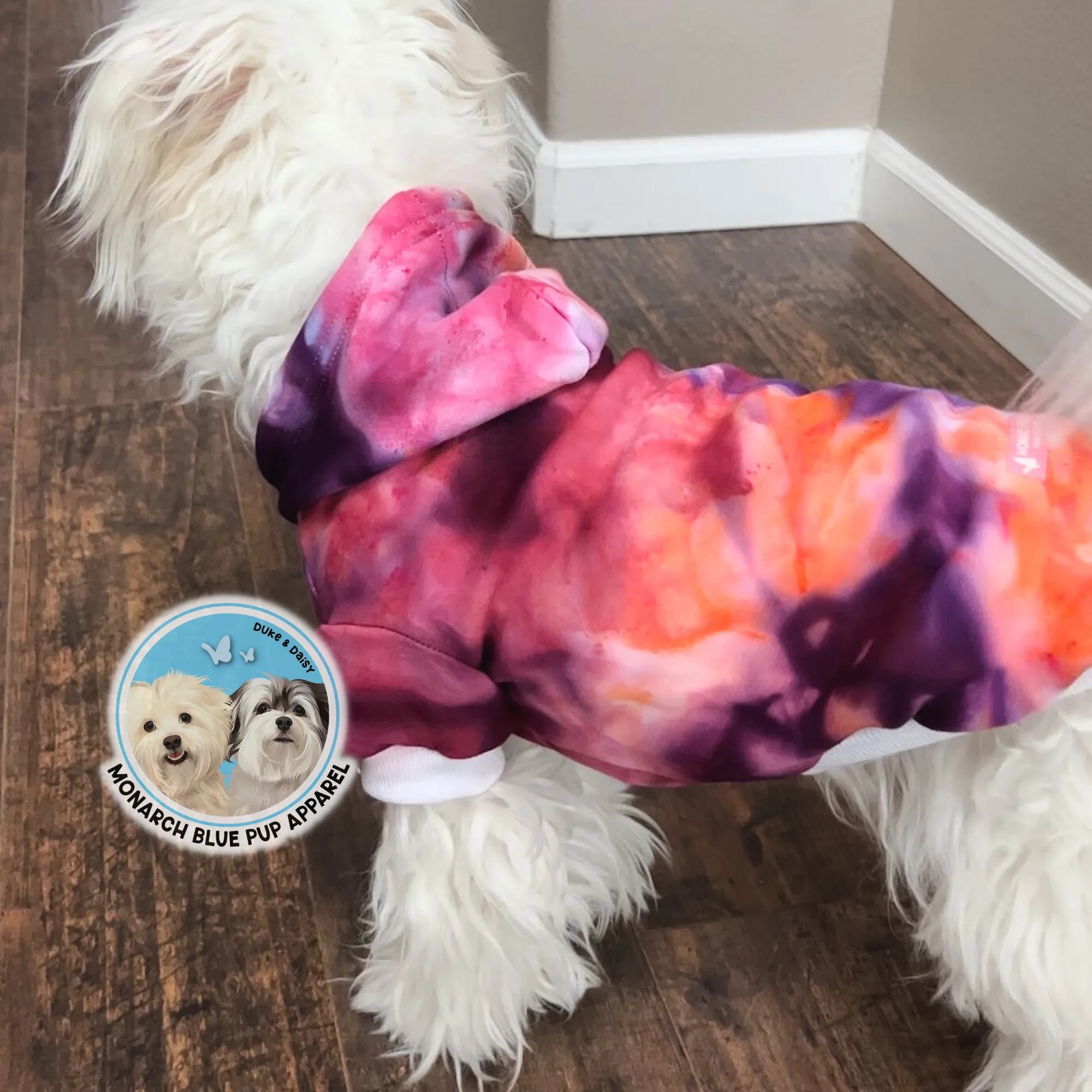 AUTUMN VIBES Pup Hoodie