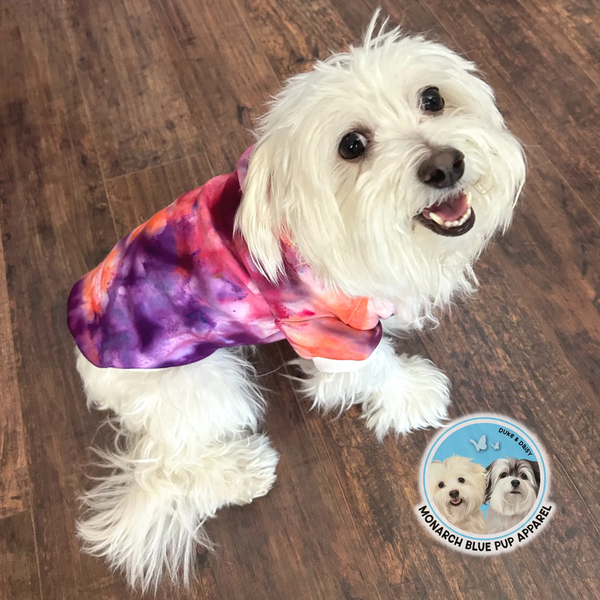 AUTUMN VIBES Pup Hoodie