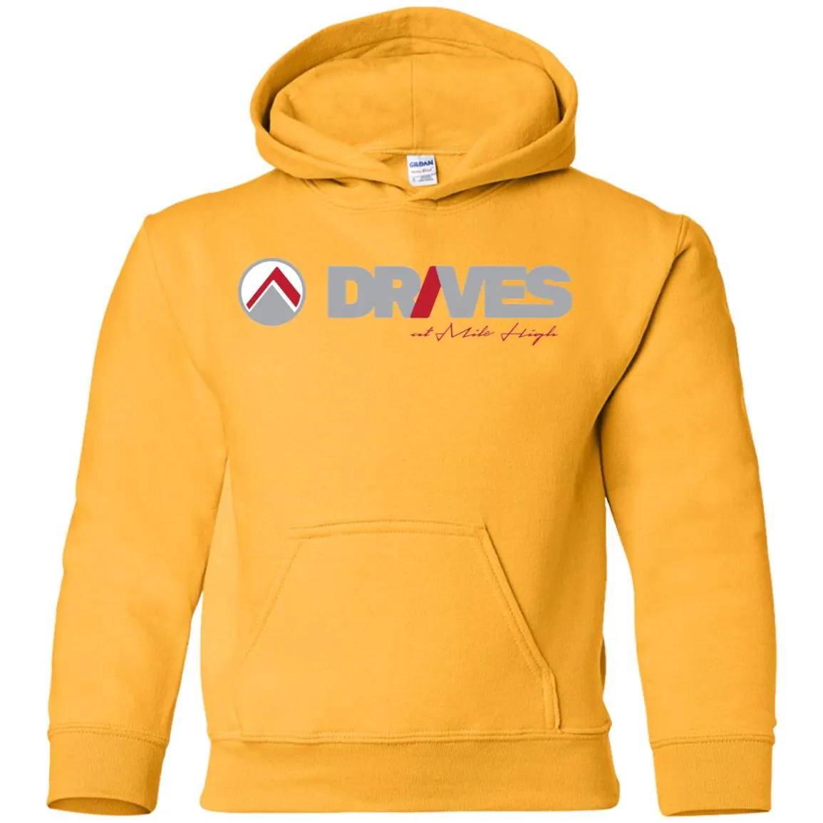 Drives light logo G185B Gildan Youth Pullover Hoodie