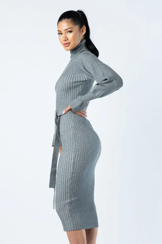 Gianna Turtle Neck Dress