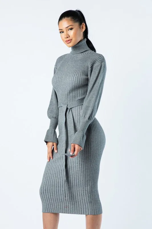 Gianna Turtle Neck Dress