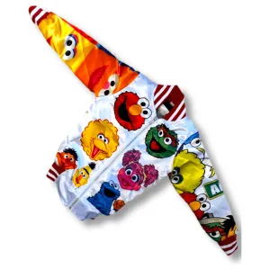 Men Sesame Street Bomber