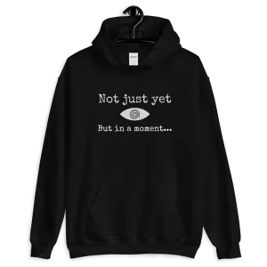 "Not just yet but in a moment..." Funny Hypnosis Hooded Sweatshirt