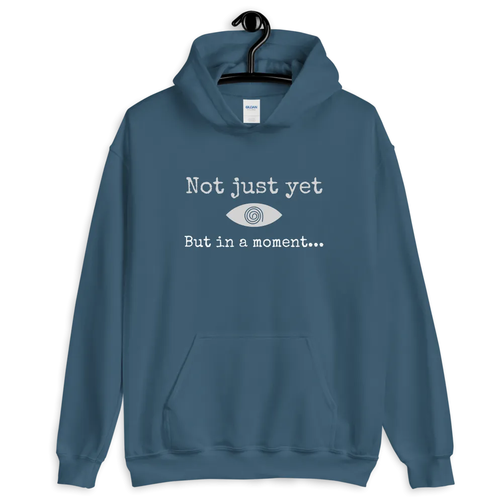 "Not just yet but in a moment..." Funny Hypnosis Hooded Sweatshirt
