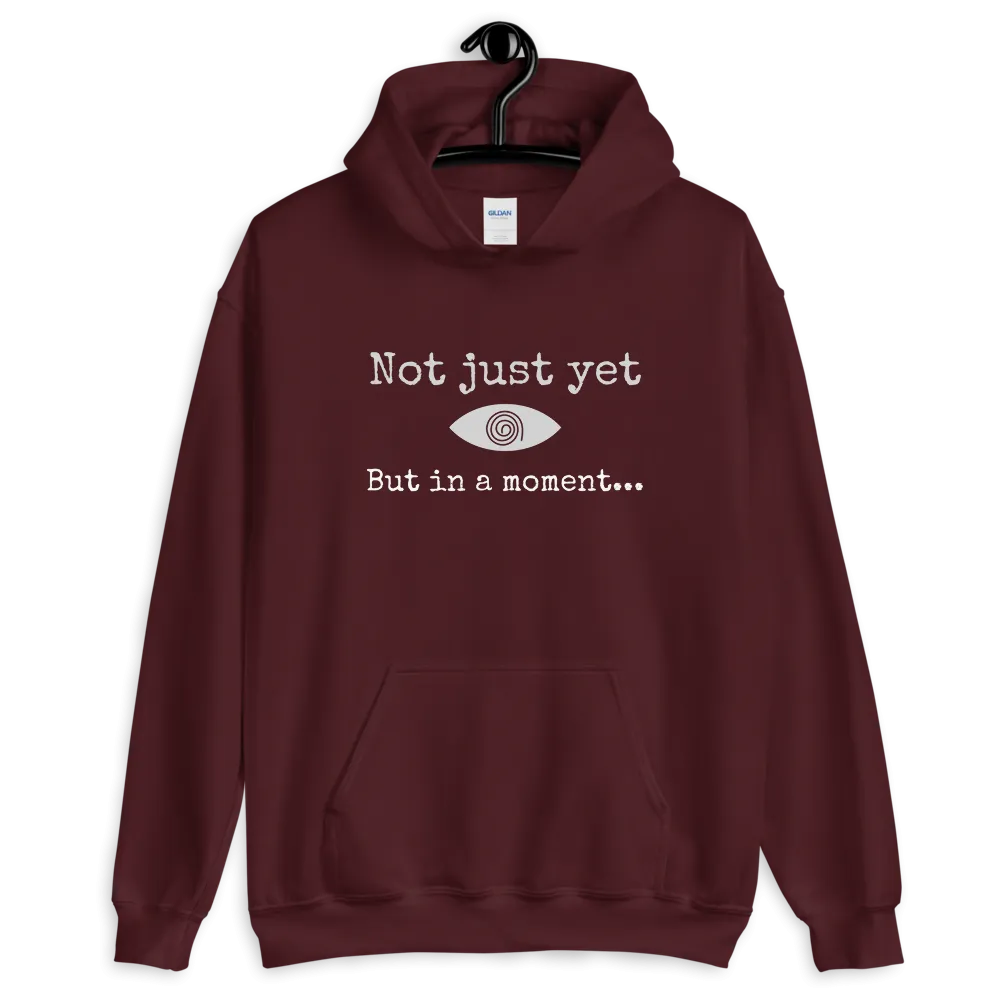 "Not just yet but in a moment..." Funny Hypnosis Hooded Sweatshirt