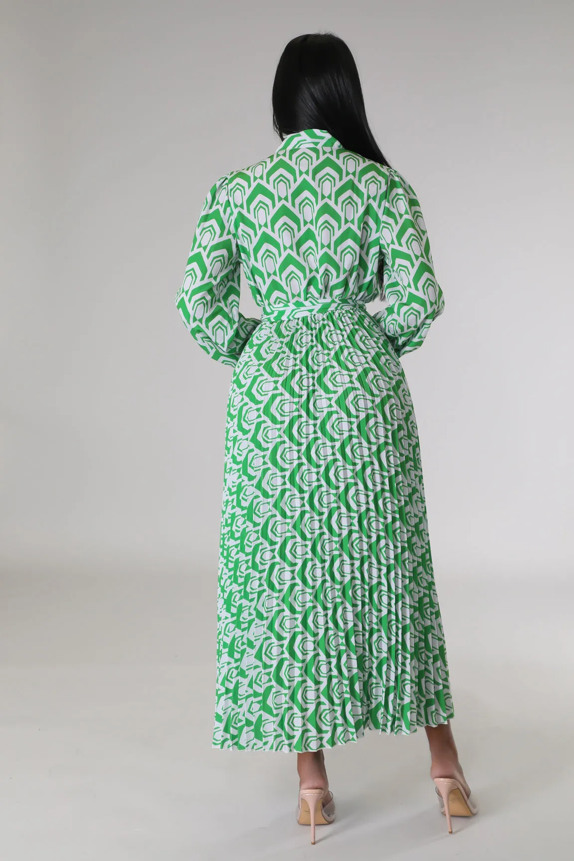 Raylee Pleated Dress
