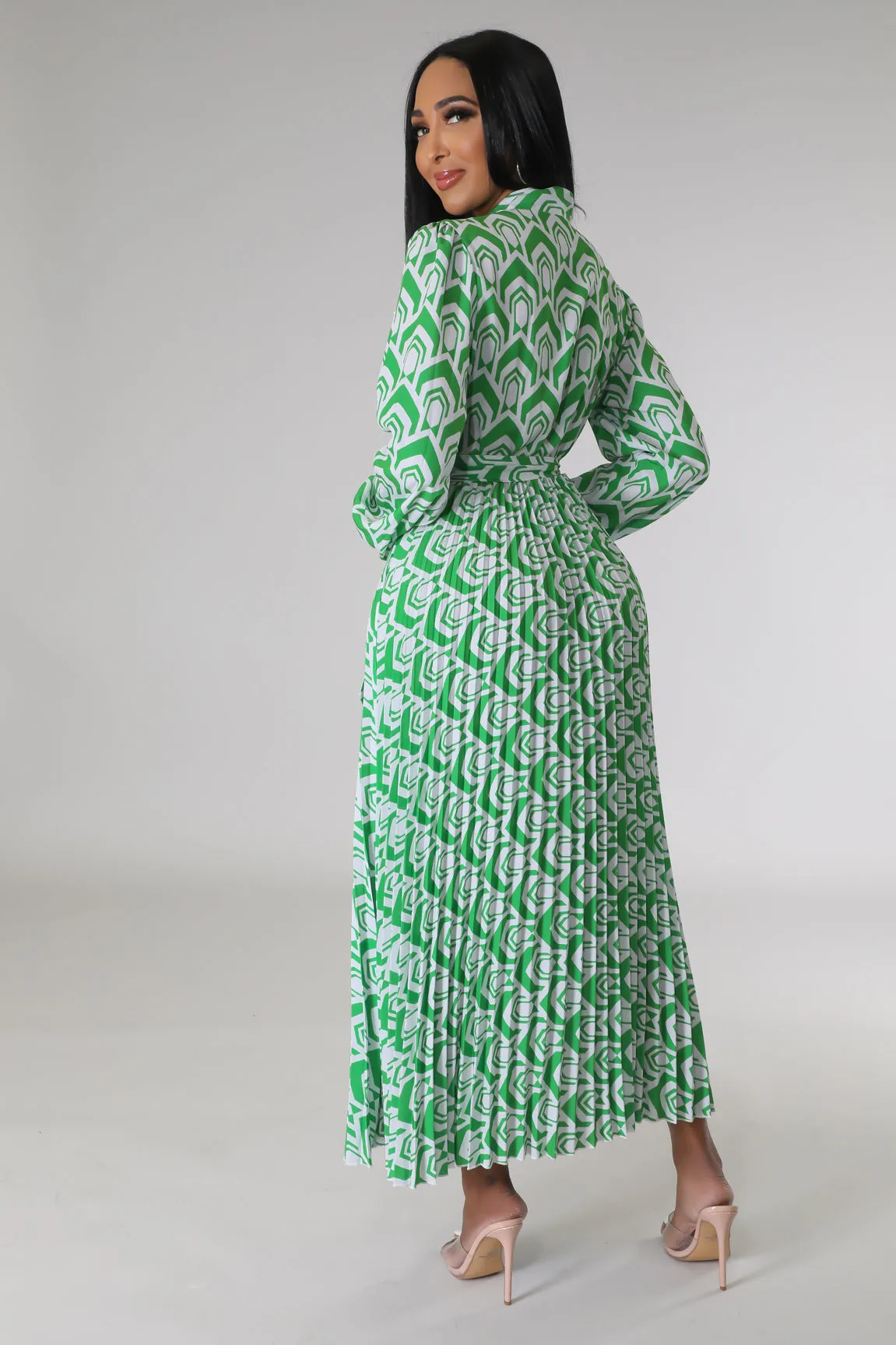 Raylee Pleated Dress