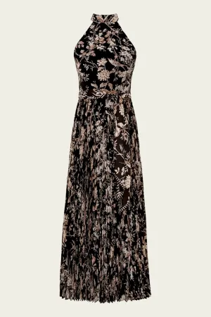 Sunray Picnic Dress in Black Mockingbird